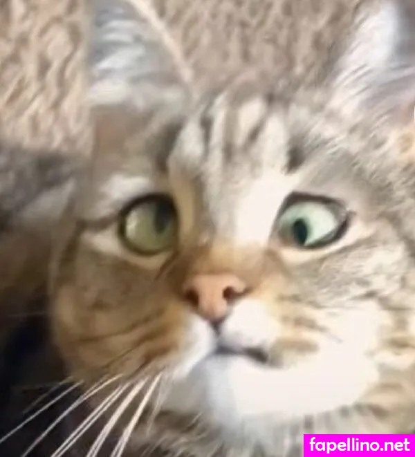 jinwanxuan, jinzixuanofficial Nude Leaked OnlyFans Photo #QA1J9CvIdn