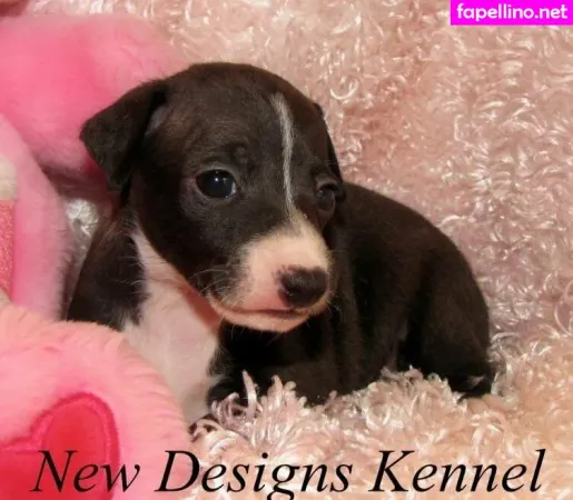 Jizzgooglezmfc OnlyFans Thumbnail #sOtrxZt2X3