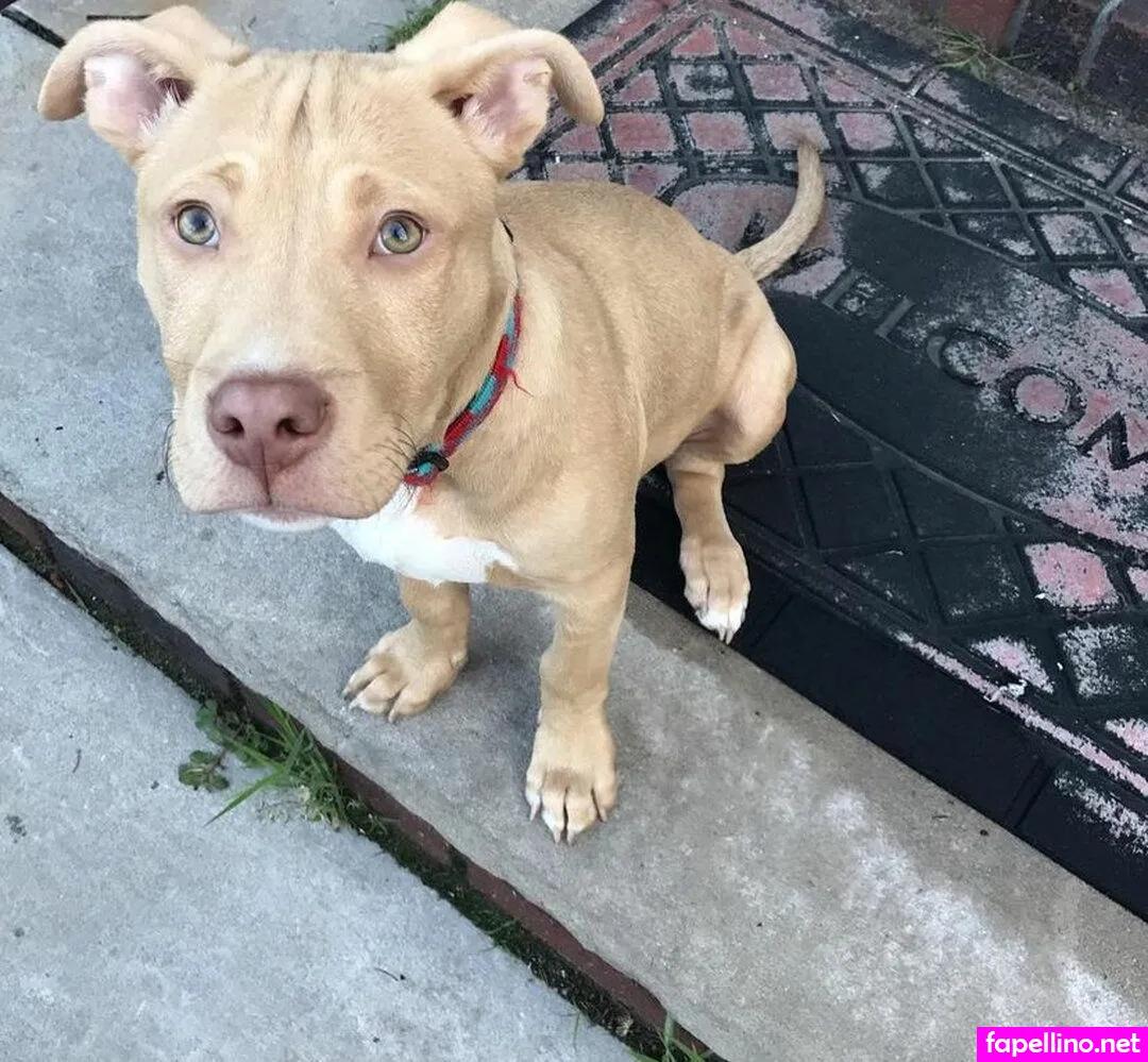 soamaziinq, u164250805 Nude Leaked OnlyFans Photo #d3PwHzNily