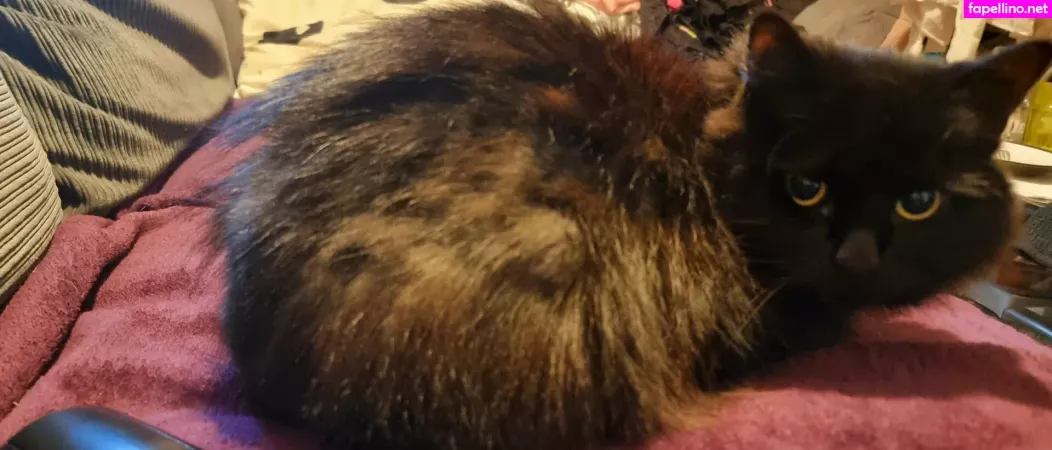 Joebutnsfw OnlyFans Thumbnail #48i2LcFhHR