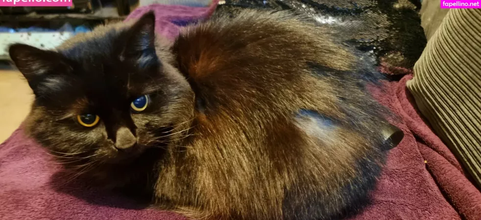 Joebutnsfw OnlyFans Thumbnail #dJm4ImVpmf