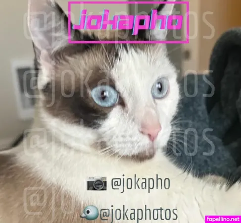 Joka Photos 2 OnlyFans Thumbnail #QkbsmuffbS