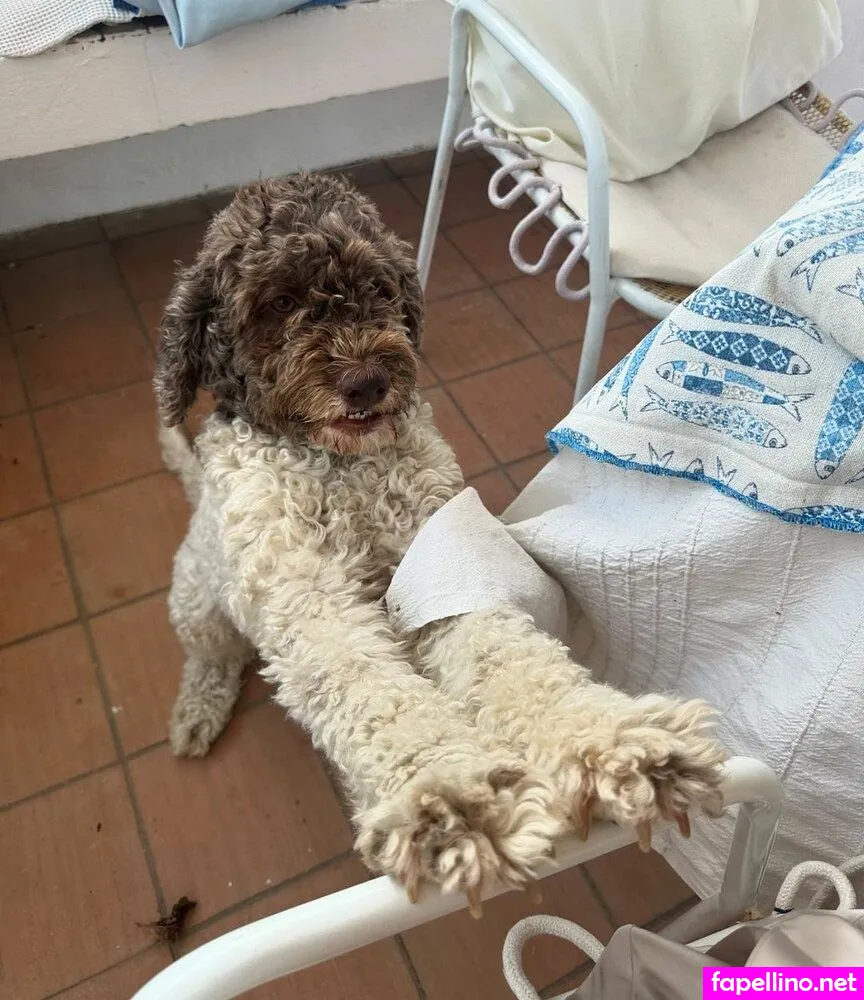 Jori Delli, joridelli Nude Leaked OnlyFans Photo #hi11vsBobq