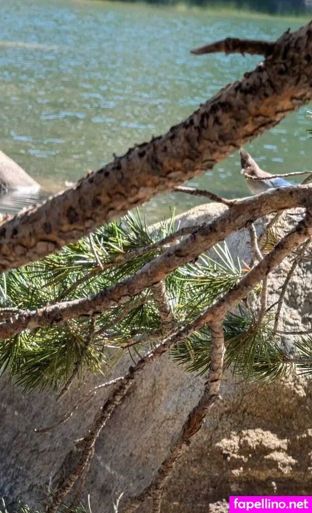 josie88pretty, josieray88 Nude Leaked OnlyFans Photo #CSrtgEuFW5