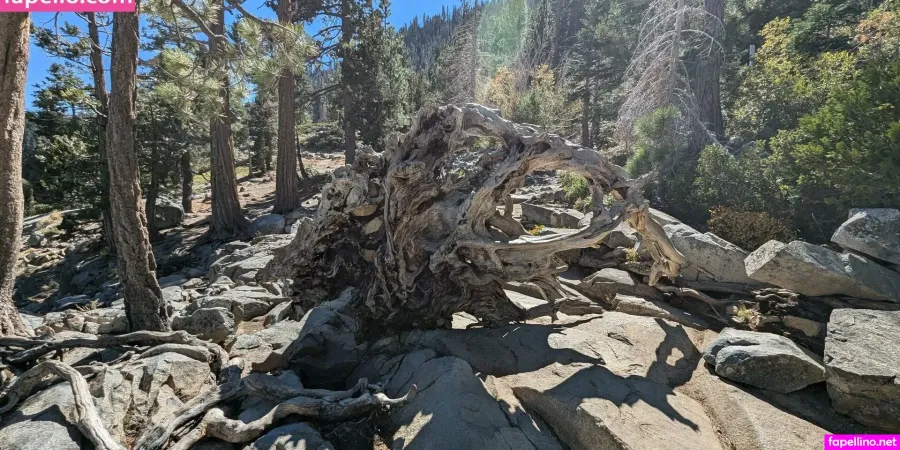 Josieray88 OnlyFans Thumbnail #KckAwGmkSL