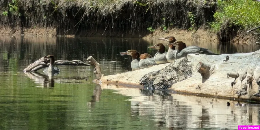 Josieray88 OnlyFans Thumbnail #VctXHOWwx8