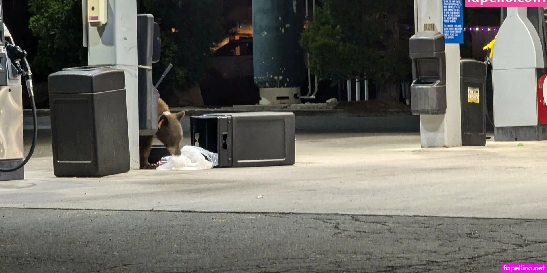 josie88pretty, josieray88 Nude Leaked OnlyFans Photo #d2JwOygPv4