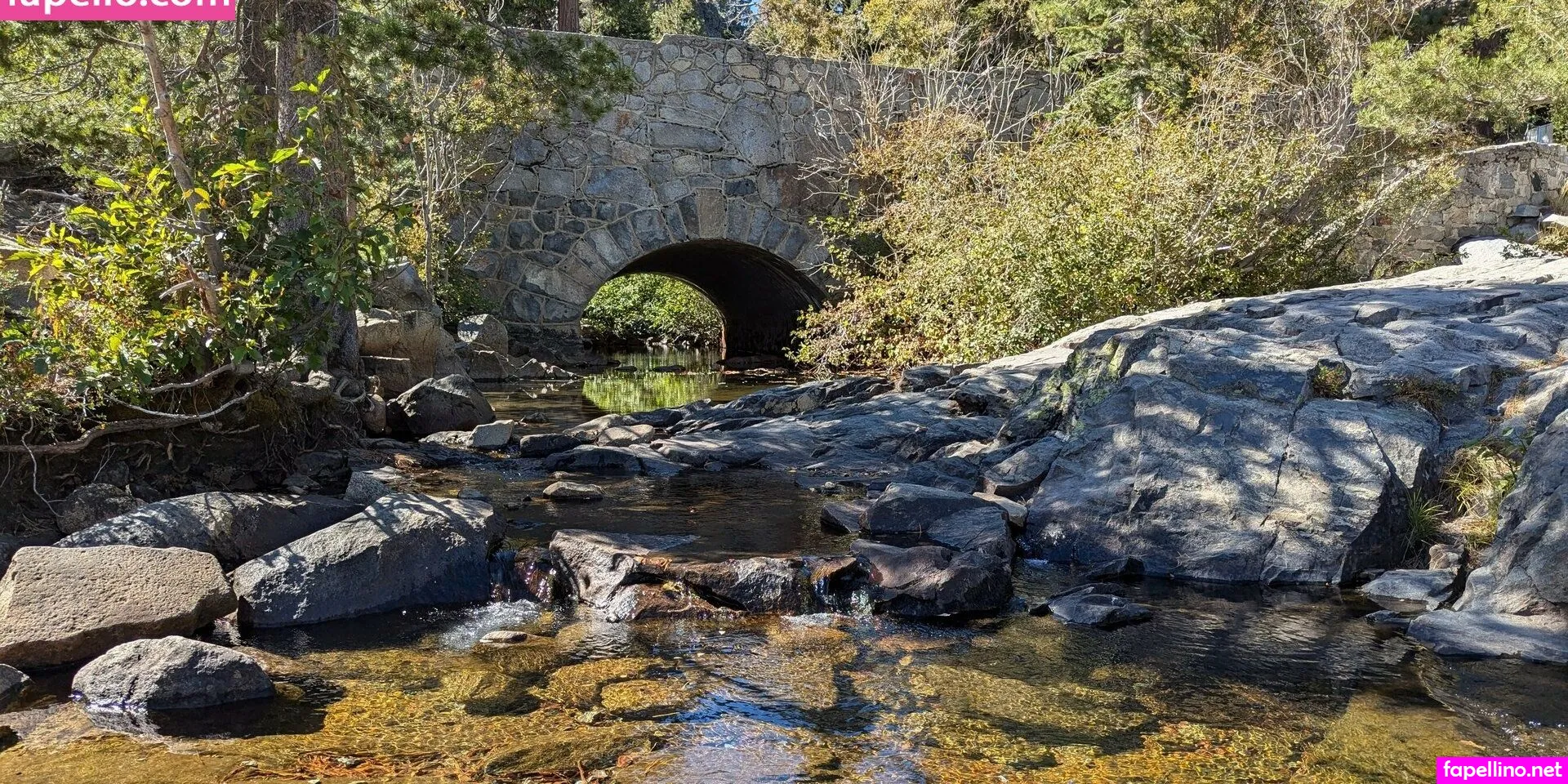 josie88pretty, josieray88 Nude Leaked OnlyFans Photo #mffe4bhorT