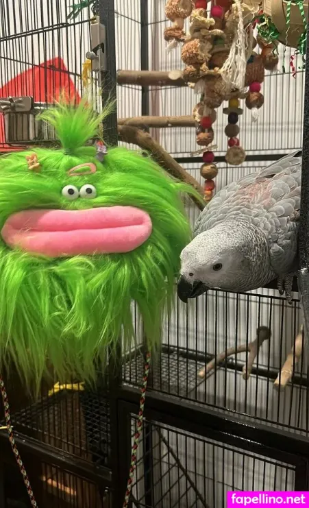 Juglypuff OnlyFans Thumbnail #2gJ6SENQQa