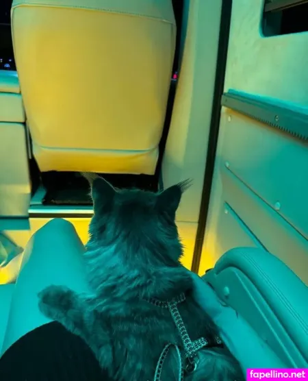 Juicy Katie OnlyFans Thumbnail #Af0b7WhxhG