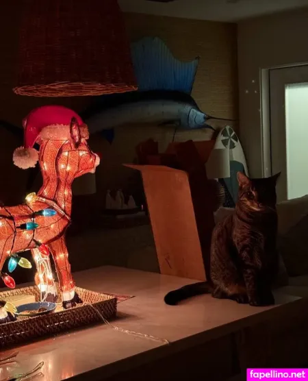 Julesfree OnlyFans Thumbnail #3Cz1FnZC5h