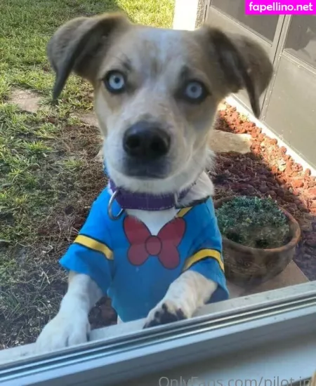 Julia OnlyFans Thumbnail #LP8bKe70OD