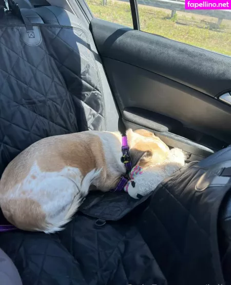 Julia OnlyFans Thumbnail #Ssc7IiGKt5