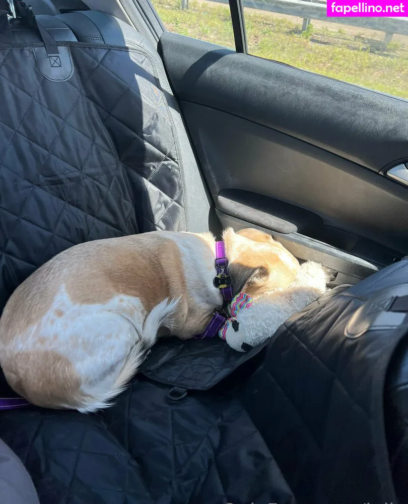 julia, juliabarretto, soursummer Nude Leaked OnlyFans Photo #Ssc7IiGKt5