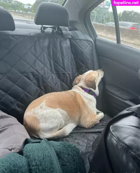 Julia OnlyFans Thumbnail #ohDoxqDFcq