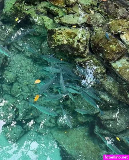 Juliefloridagirl OnlyFans Thumbnail #QeXM4w5735