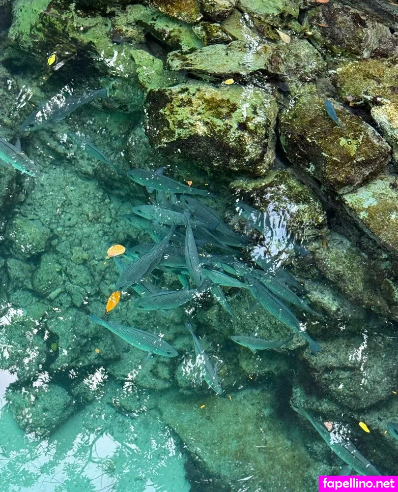 juliefloridagirl Nude Leaked OnlyFans Photo #QeXM4w5735