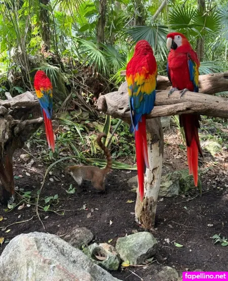 Juliefloridagirl OnlyFans Thumbnail #RI1Wlsrf2Z