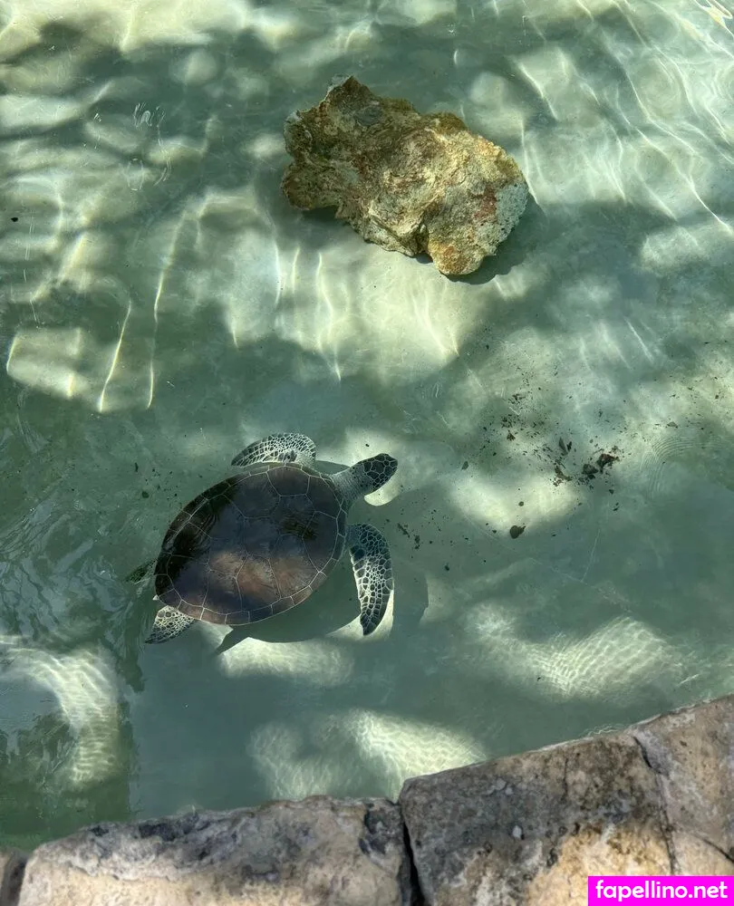 juliefloridagirl Nude Leaked OnlyFans Photo #a8KtplmDZt