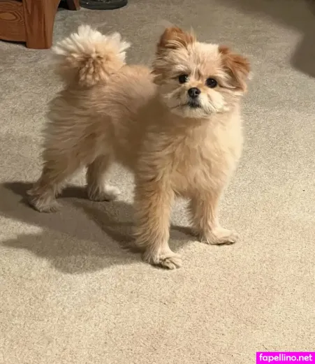 Justhavingfunwithlife 2 OnlyFans Thumbnail #77cvJJ0XLD