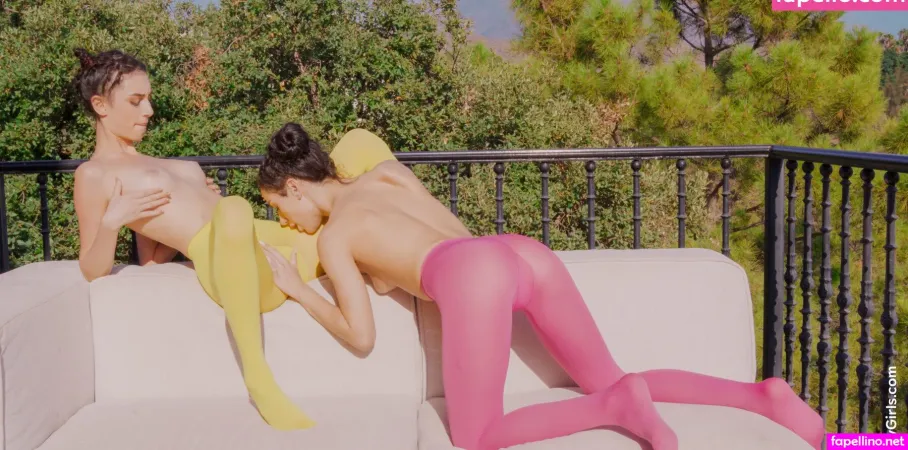 K Vega X Main Profile Photo