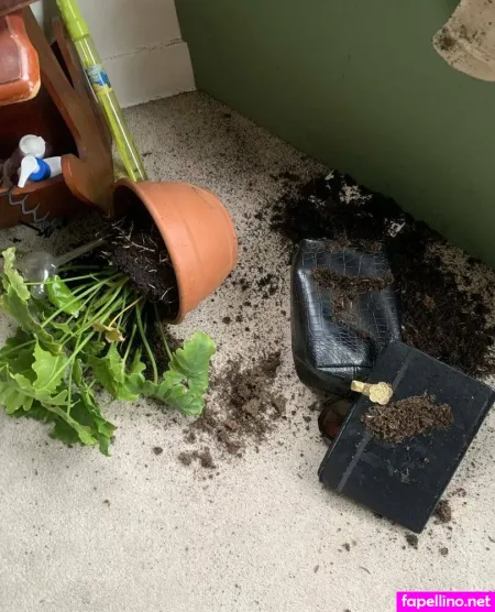 Kamillika OnlyFans Thumbnail #eKL09pIXZc