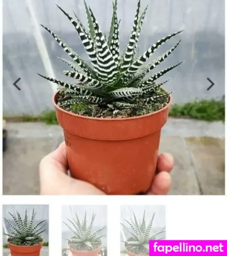 Kamillika OnlyFans Thumbnail #hh1g9wWUhz