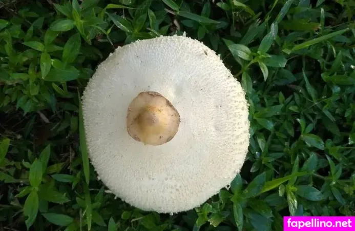 Kandi Jones OnlyFans Thumbnail #lCxTL9Otkl