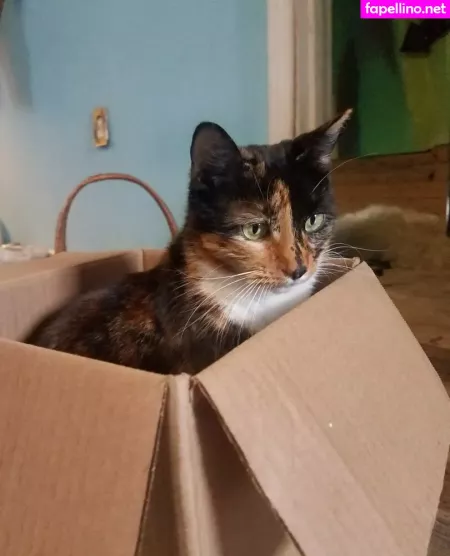 Katcalico OnlyFans Thumbnail #56U540CXas