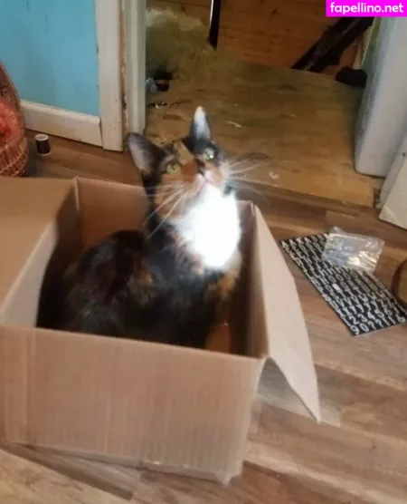 Katcalico OnlyFans Thumbnail #AsdOG0qHSQ