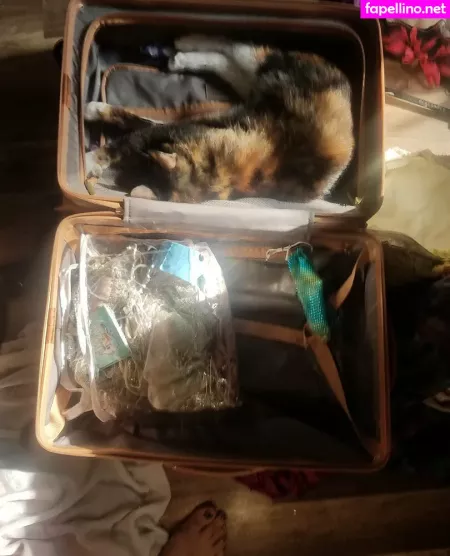 Katcalico OnlyFans Thumbnail #uM1ORY7IE5