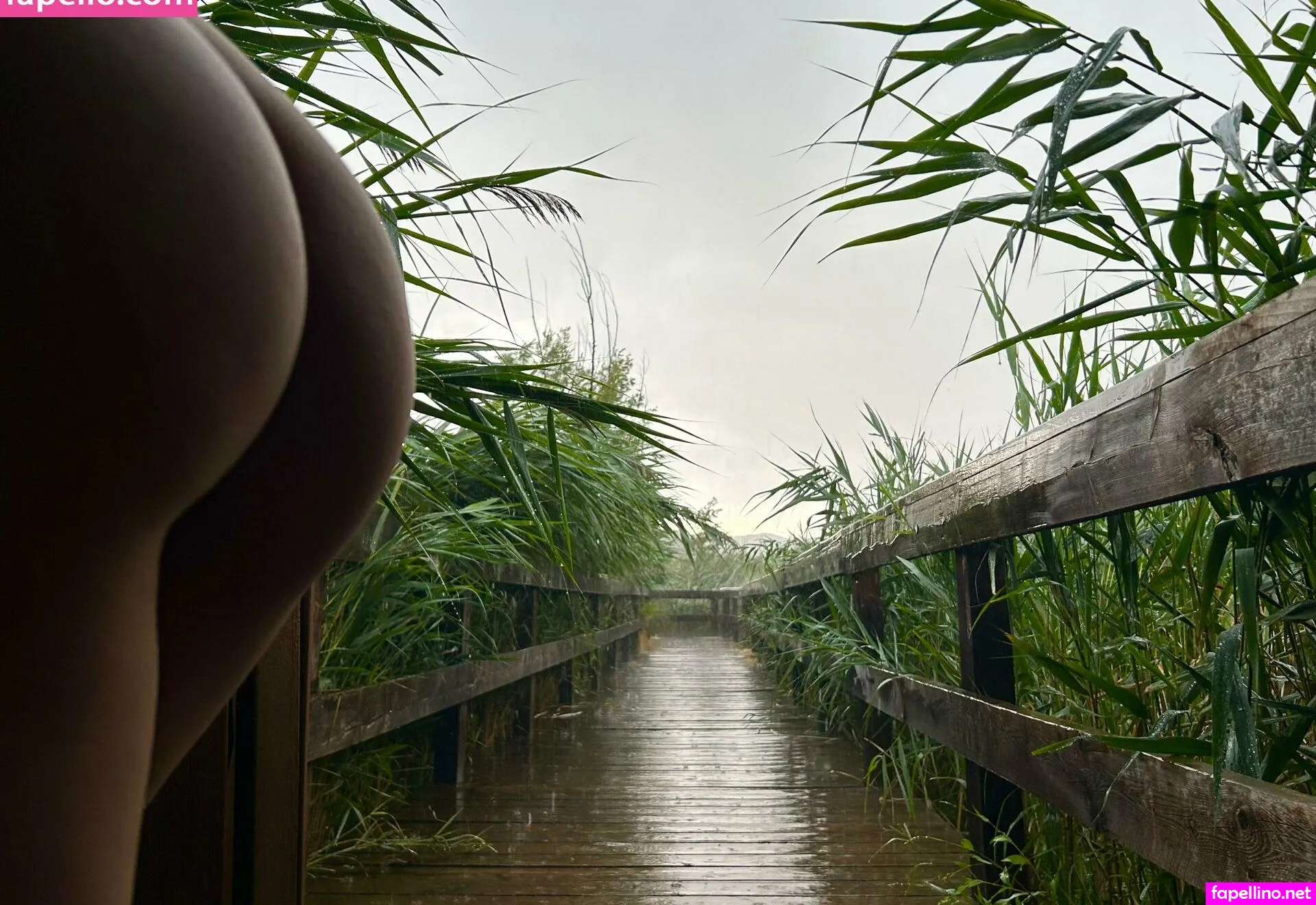 katcouple.69, katcouple69 Nude Leaked OnlyFans Photo #AOD1Td8SJf