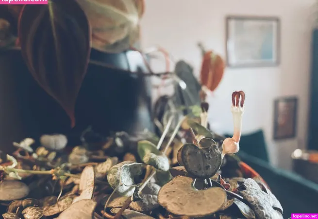 Katebunnyrabbit OnlyFans Thumbnail #v06bjd9LjR