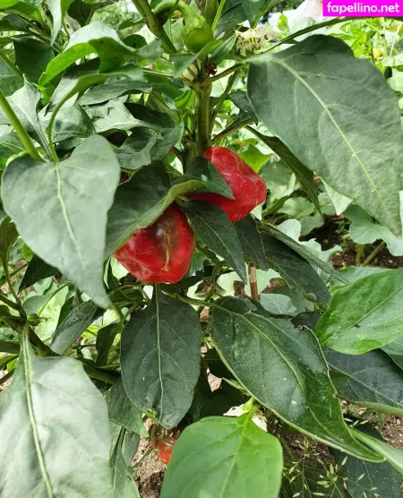 Kathianobilixx OnlyFans Thumbnail #RQYjarftyc