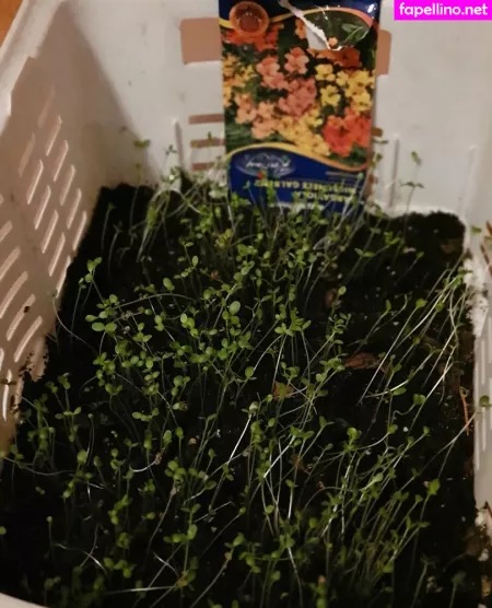 Kathianobilixx OnlyFans Thumbnail #Xpu3rnnjDM