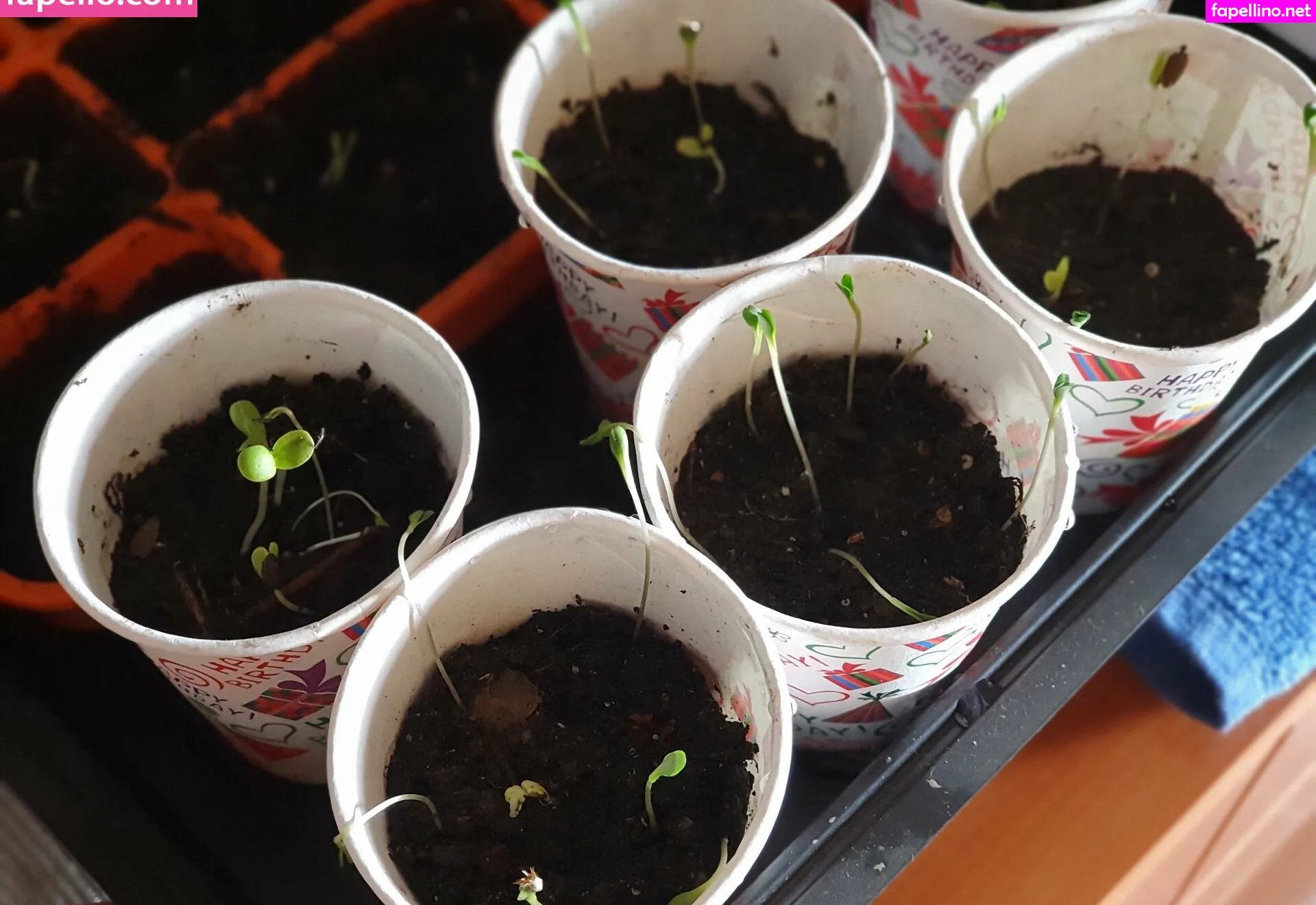 kathianobilixx Nude Leaked OnlyFans Photo #aWa4akBB9b