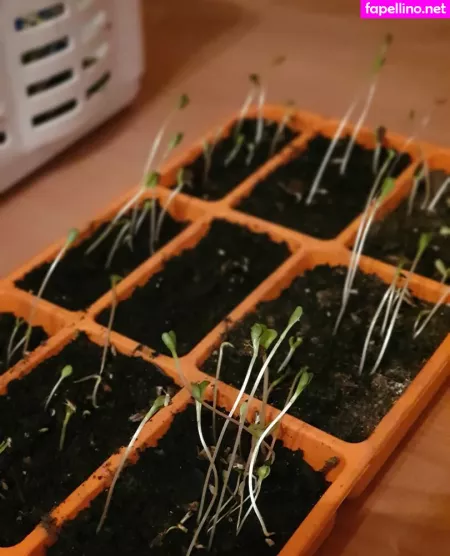 Kathianobilixx OnlyFans Thumbnail #i7T5ESz7o8