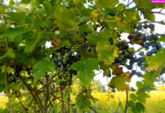 Kathianobilixx OnlyFans Thumbnail #jWeeXZL2Uh