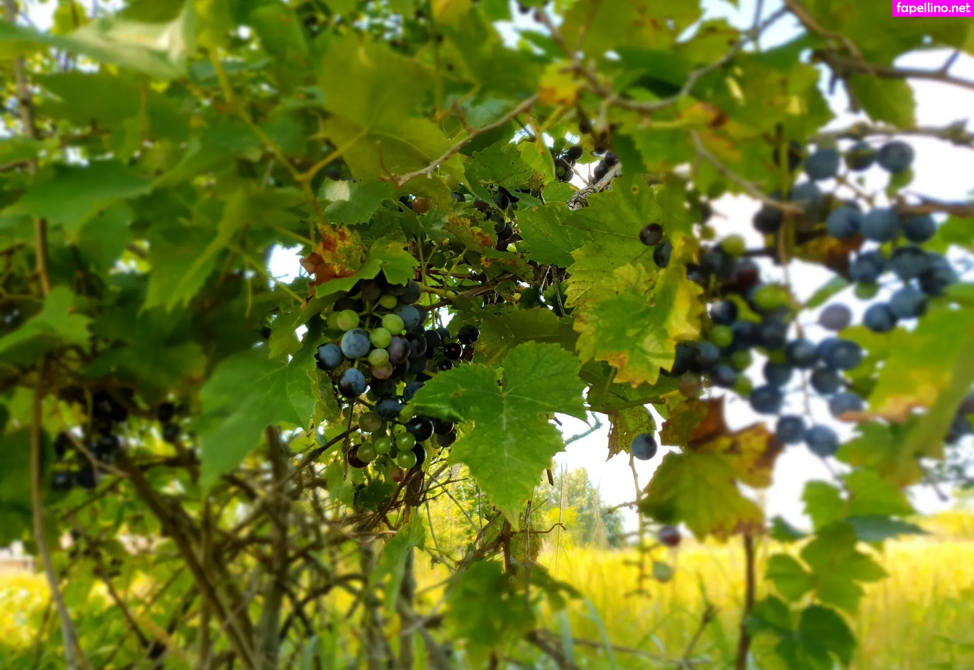 kathianobilixx Nude Leaked OnlyFans Photo #jWeeXZL2Uh