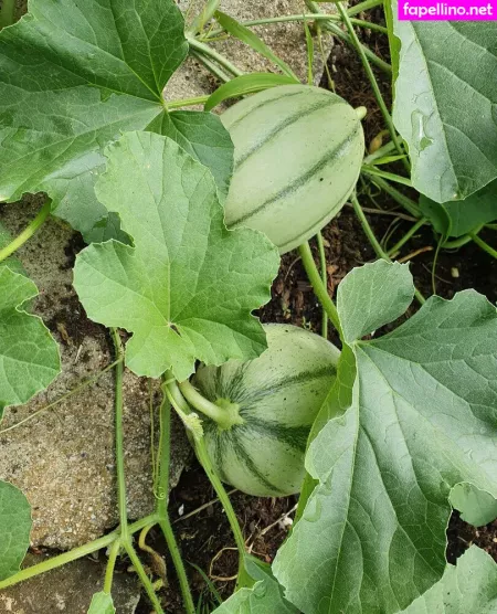 Kathianobilixx OnlyFans Thumbnail #nR4V49LsHG