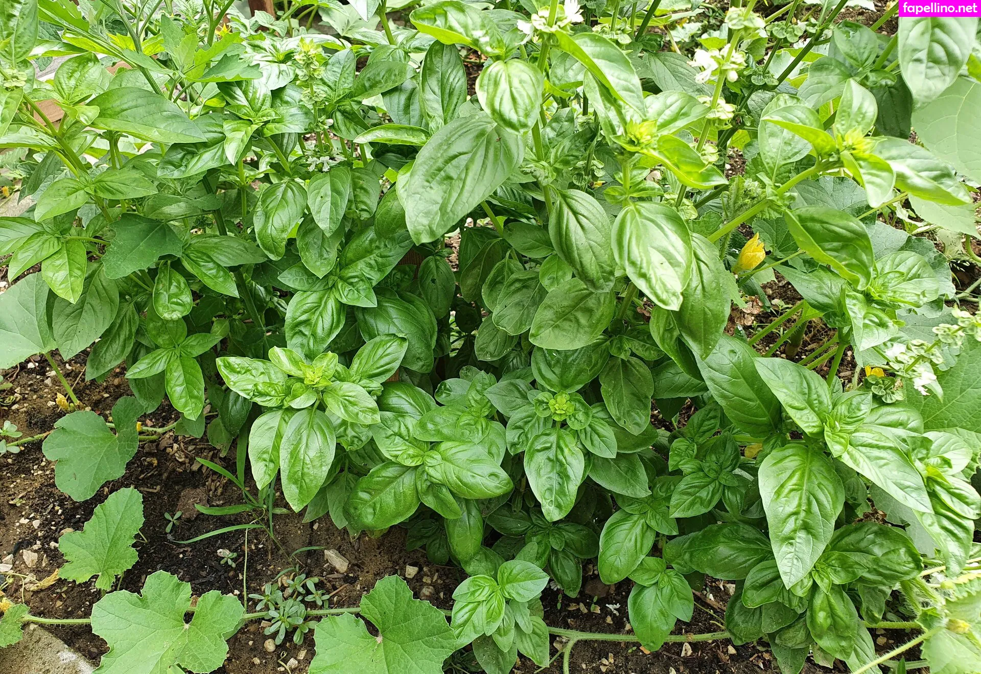 kathianobilixx Nude Leaked OnlyFans Photo #utVwYADpXF