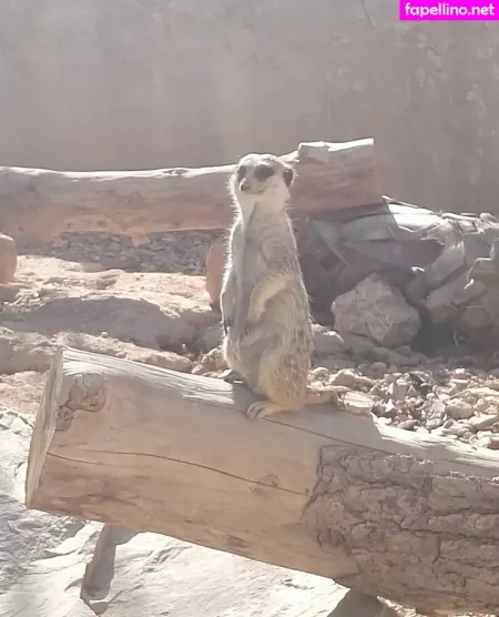 Kathianobilixx OnlyFans Thumbnail #w7yi8Yvsvj