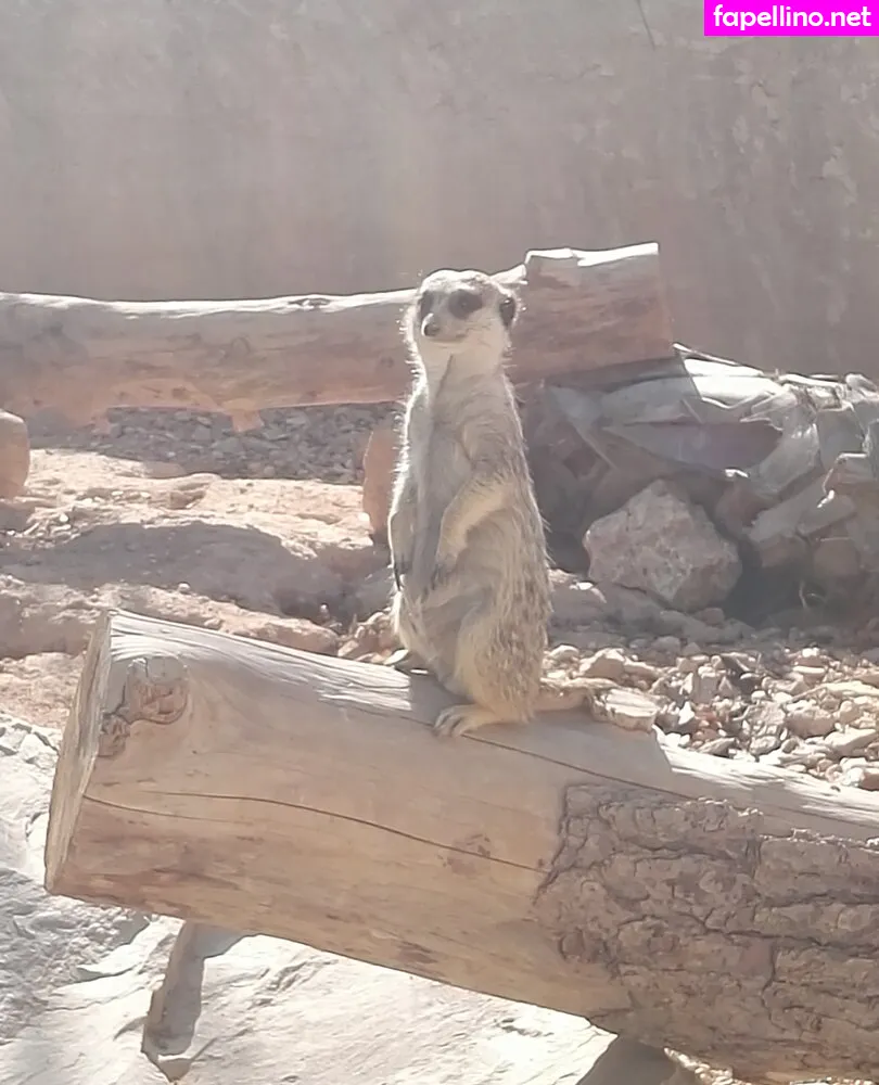 kathianobilixx Nude Leaked OnlyFans Photo #w7yi8Yvsvj