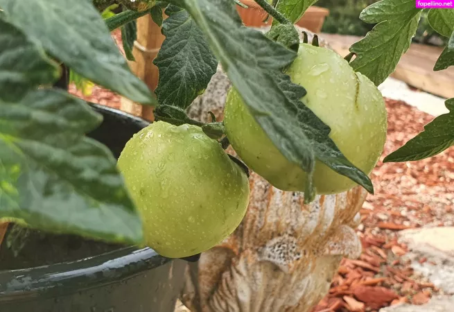 Kathianobilixx OnlyFans Thumbnail #xpO3APLghR