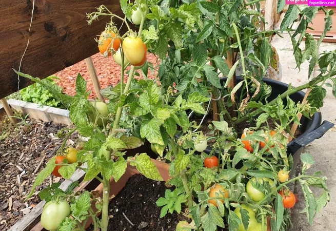 Kathianobilixx OnlyFans Thumbnail #xpc3zgnexU