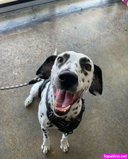 Kathobbs OnlyFans Thumbnail #wq047FJosr