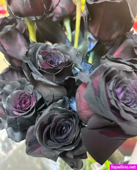 Katsiren2 OnlyFans Thumbnail #nQQT9URLvI