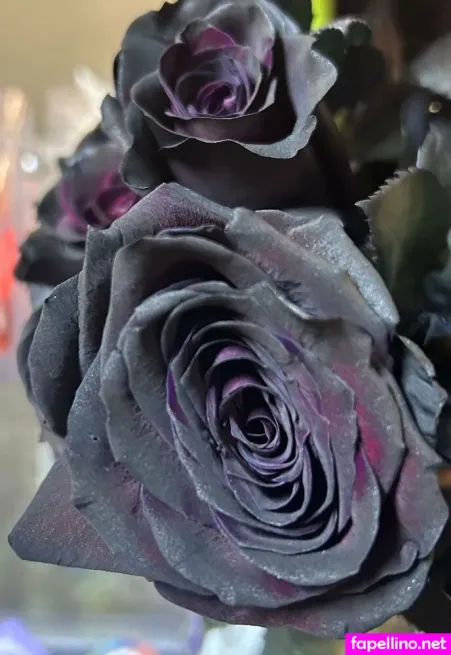 Katsiren2 OnlyFans Thumbnail #zNkoTlyG3t