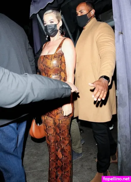 Katy Perry 1 OnlyFans Thumbnail #3vrv537J5J