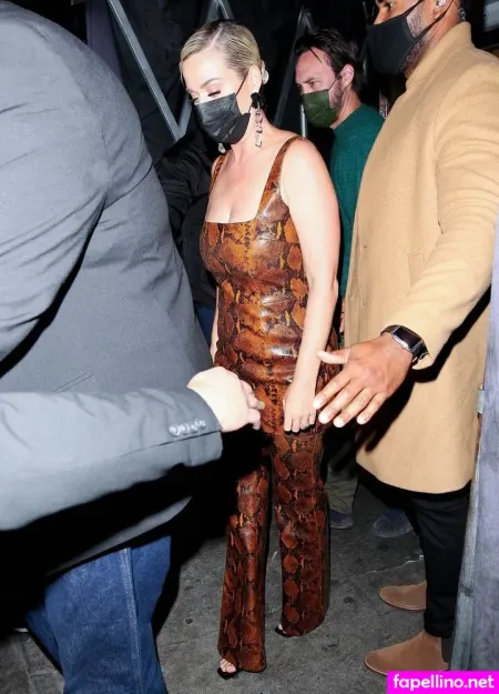 Katy Perry 1 OnlyFans Thumbnail #47sw48S8fH